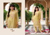 Dazzle By Eba Nanni Munni Organza Kids Girls Wear Wholesalers In Surat
